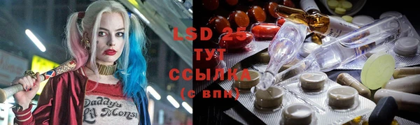 PSILOCYBIN Новодвинск