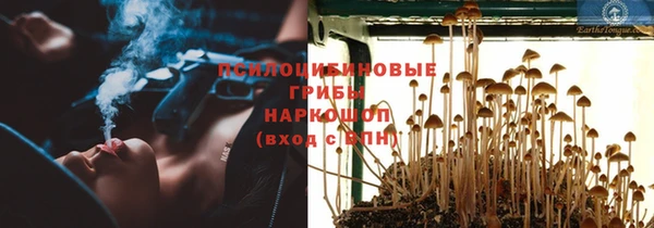 2c-b Кропоткин