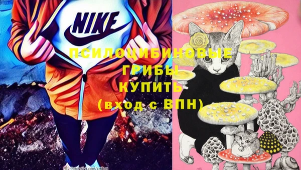 PSILOCYBIN Новодвинск