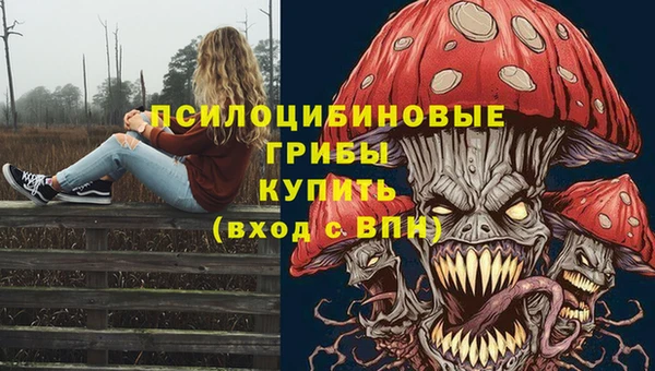 MDMA Новозыбков